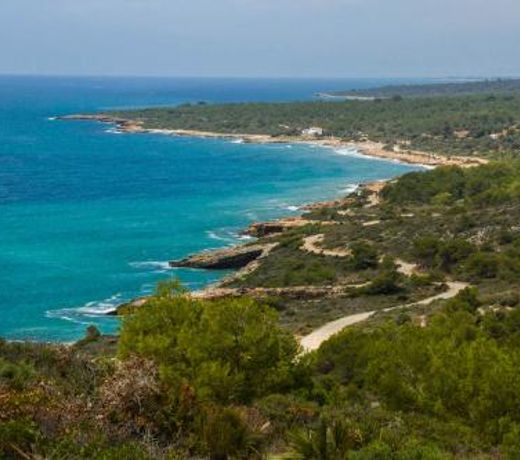 Apartamento Pepa Mar y Montana