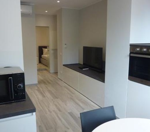 Luxueux deux pieces au porte de Monaco