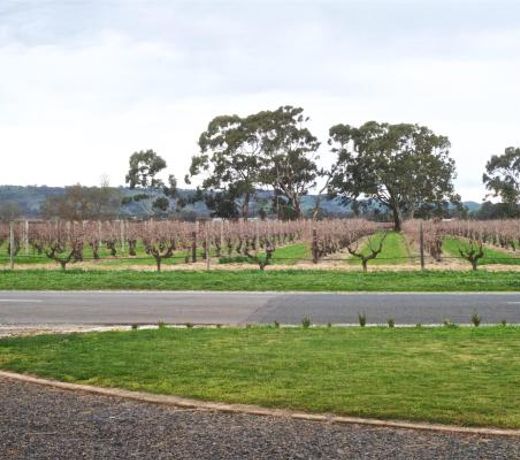 Cirillo Guest House