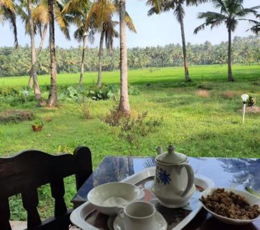 Paddy Farm Beach Resort