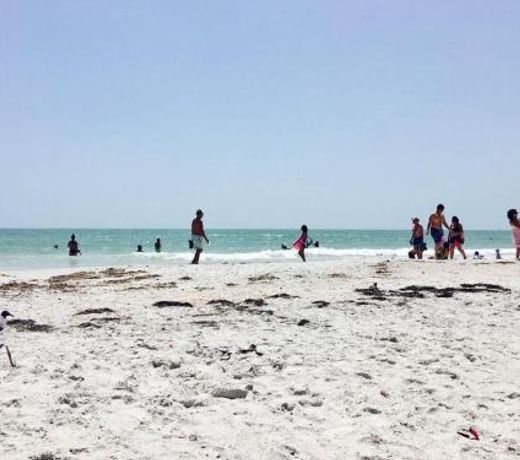 Boca Ciega Shores #3
