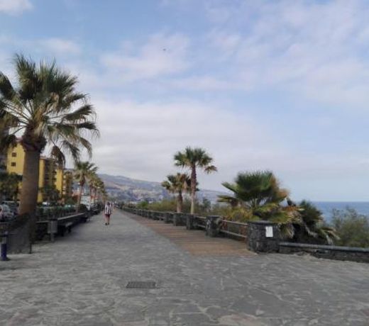 Paradise Candelaria