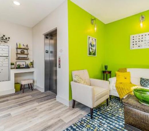 I Dream of Kiwi in Fort Worth CULTURAL district
