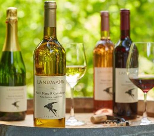 Weingut Landmann Ferienwohnungen
