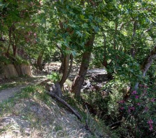Villa Tzitzifia - Near Elafonisi