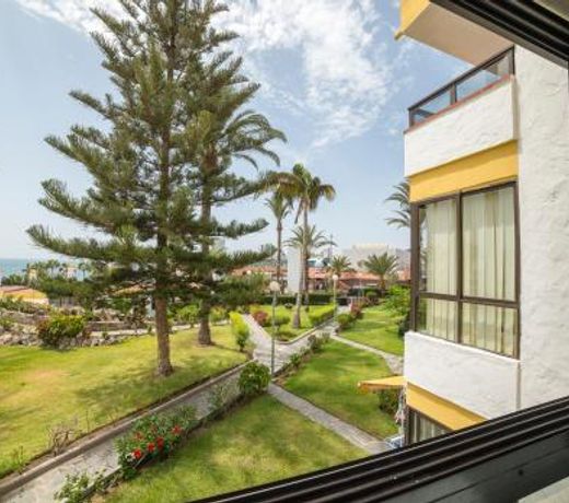 Apartamento San Agustin vista al mar piscina