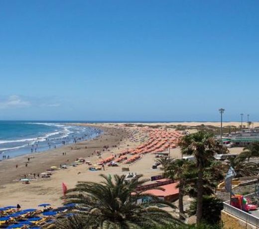 La Gema del Sur