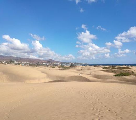 Guest House Gran Canaria