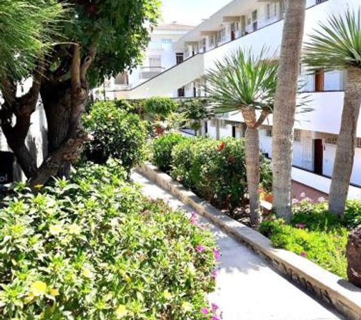 Bonito apartamento de 1 dormitorio en Playa San Agustin, segunda linea de playa