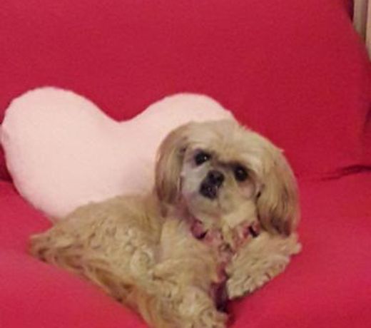 Chambre chez l’habitant chez Nadine