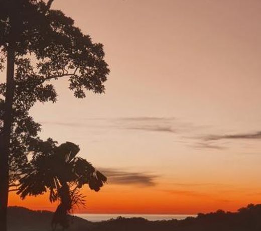 Daintree Holiday Homes - Yurara