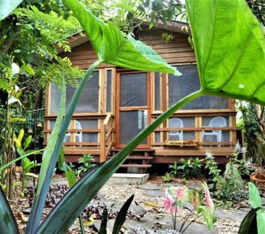 Iguana Roost Tourism Gold Standard Fully Equipped two Bedroom Cabin