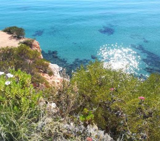 Cabo Roig Bellavista III