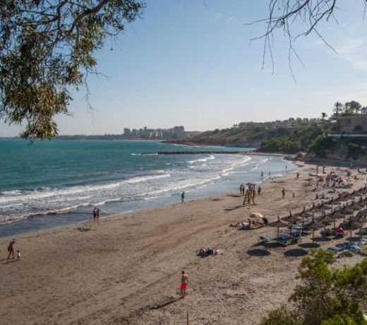 PENTHOUSE CABO ROIG - ALDEAS I
