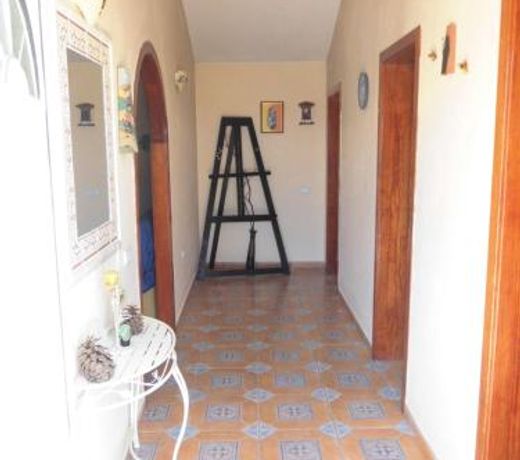 Finca Los Rosales