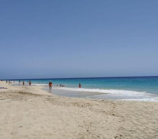 PLAYA MIRAR in Palm Garden