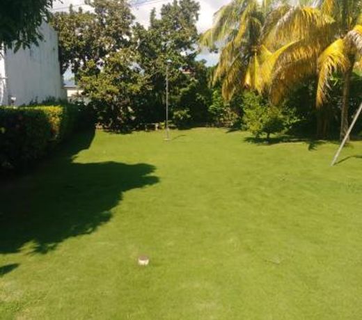 Art House Parklands South