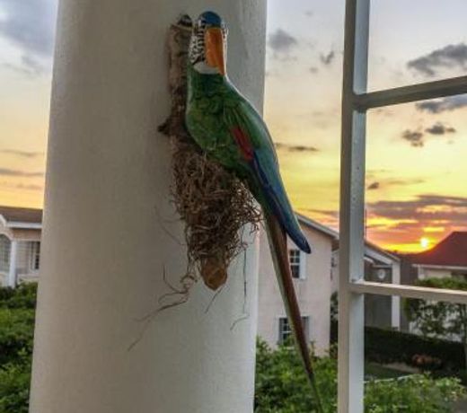 Guest Apartment at Halifax