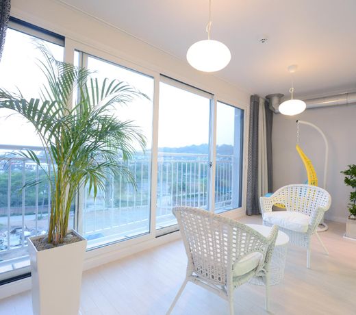 Paju pollvilla warabel