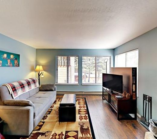 11685 Snowpeak Way Condo Unit 545