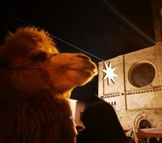 Alloggio Turistico Gasparrini