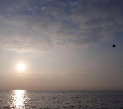 Limanaki Ss View Apartment