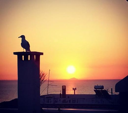 Old-Town Roof-Garden Suite