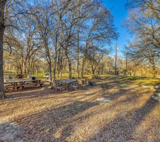 The Olive @ Mendelbaum Winery Guest Cabins