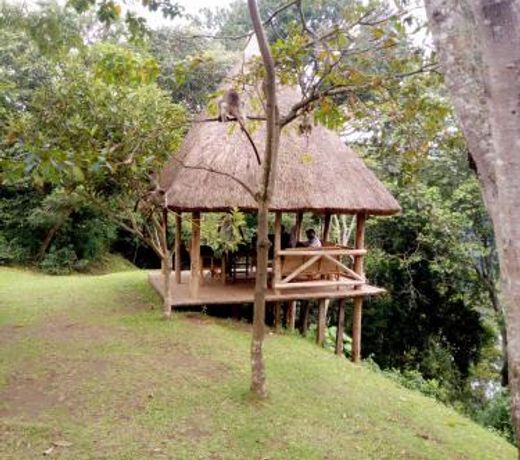 Access Budget Safaris