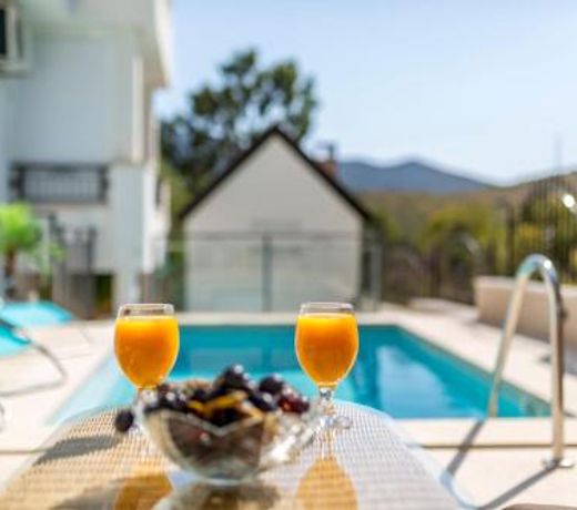 House Luce with pool