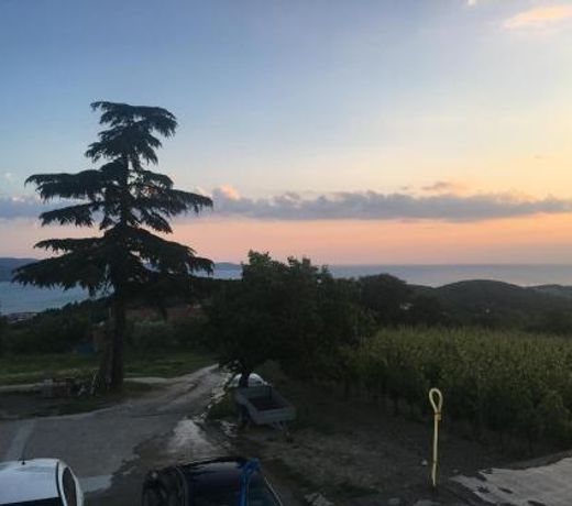 Bella Vista