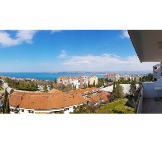 Razgled/The View
