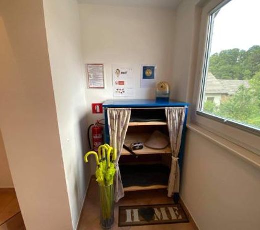 Apartment Kranj - huge terrace, free P, WI - FI, AC
