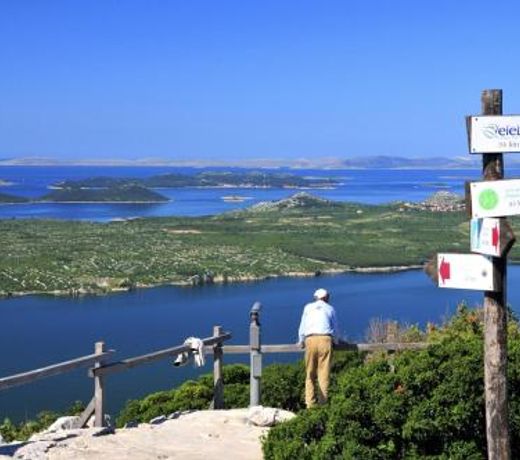 Guesthouse Sveti Flip (695)