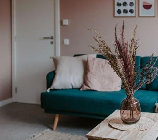 Zuiders appartement op 150m van duinen en strand