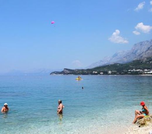 Apartment Tucepi 6695a