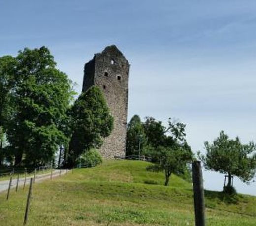 Ferienwohnung-Burgblick-in-Neuravensburg