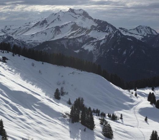 Andorra El Tarter Alba S3p