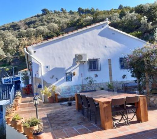 Finca Floretta
