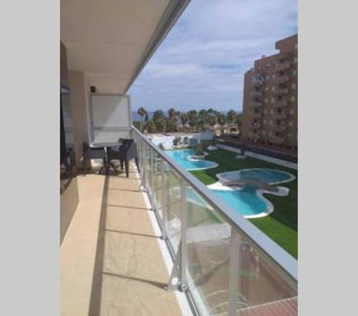 APARTAMENTO A ESTRENAR EN MIRAMAR-MARINA DOR-1era linea de playa