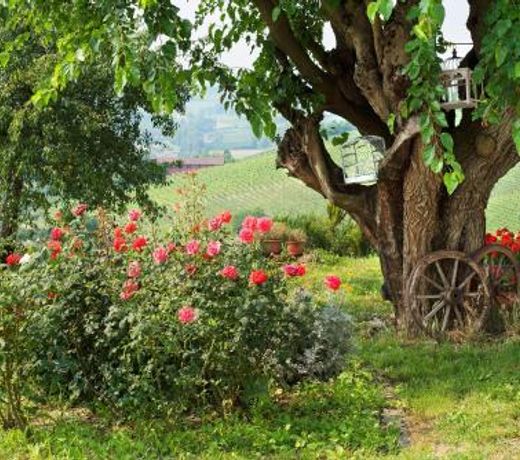 Agriturismo Albarossa