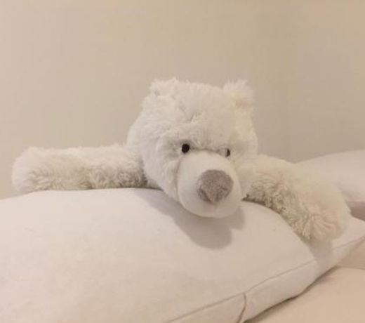 La Tanière de l'Ours Blanc Aubagne-Cassis-Aix en Provence