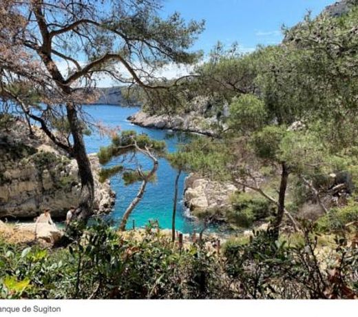 Le Mouton à 5 Pattes Aubagne-Cassis-Aix en Provence