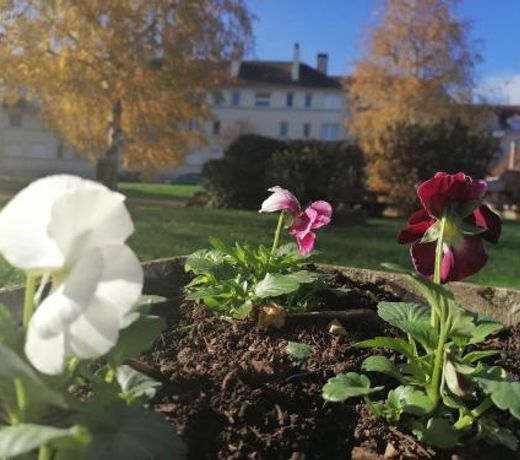 Appartement en centre ville dans résidence calme, RER C 1 min