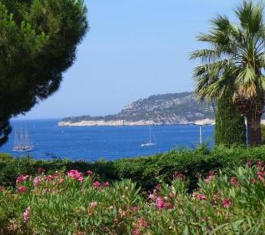Les Trois Oliviers a Cassis