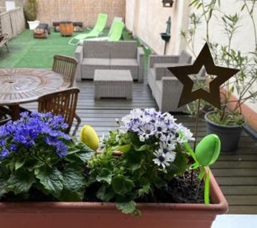 Gite Edelweiss a Eguisheim