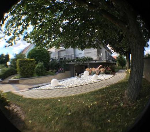 Studio Eguisheim