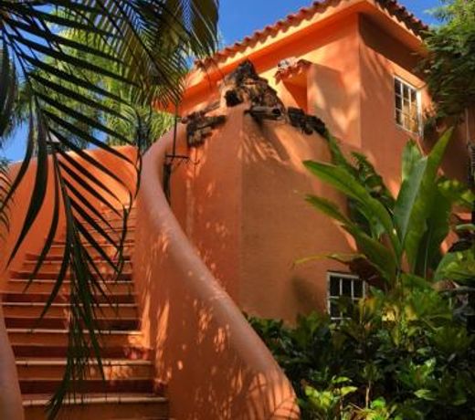 Rosemary Rose 2 - madrugada residencial
