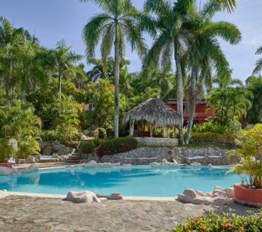 Rosemary Rose 2 - madrugada residencial