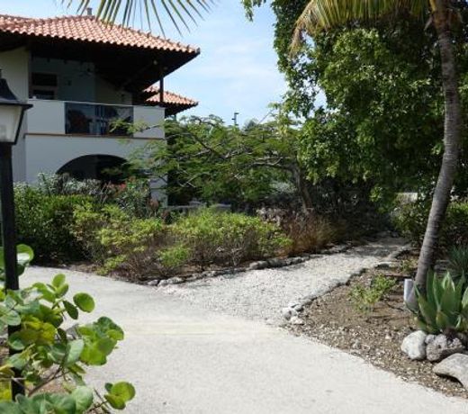 Wonderful tropical apartment by the beach of Windsock, in Belnem, on the island of Bonaire